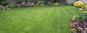 ABC Cleaning & Lawn Care